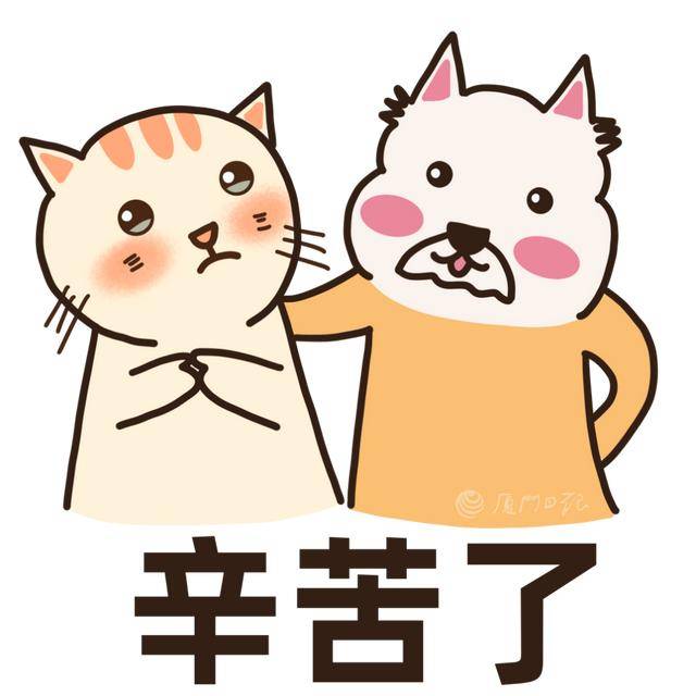 旗袍、拿花！能带水、手表、纸巾入考场吗？九游会j9ag高考考生嘱咐妈妈：不要穿(图7)